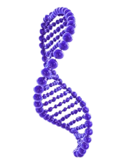 DNA testing icon for EVA longevity protocol